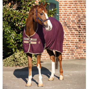 Camisa de box Horseware Amigo Delphinium 0g Camisa de box Horseware Amigo Delphinium 0g