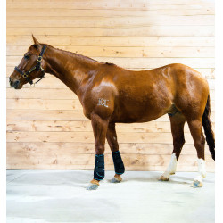 Guêtres massantes Horseware Ice-Vibe