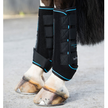Guêtres massantes Horseware Ice-Vibe