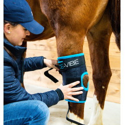 Protetores de jarrete Horseware Ice-Vibe Protetores de jarrete Horseware Ice-Vibe