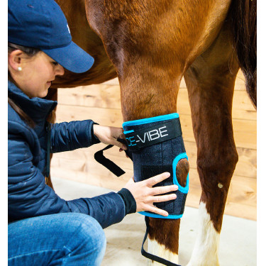 Protetores de jarrete Horseware Ice-Vibe Protetores de jarrete Horseware Ice-Vibe