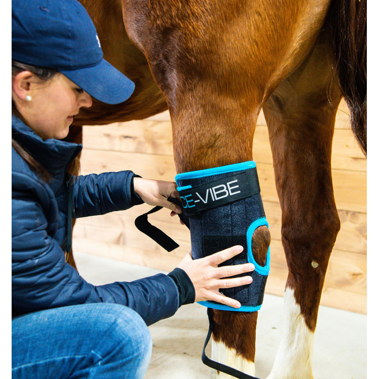 Protetores de jarrete Horseware Ice-Vibe Protetores de jarrete Horseware Ice-Vibe