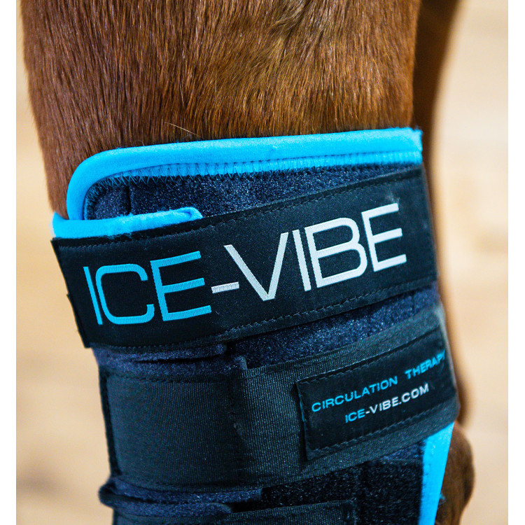 Protetores de jarrete Horseware Ice-Vibe Protetores de jarrete Horseware Ice-Vibe