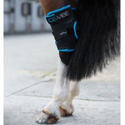 Protetores de jarrete Horseware Ice-Vibe Protetores de jarrete Horseware Ice-Vibe