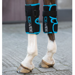 Guêtres Ice-Vibe Joelhos Horseware Preto / aqua