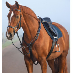 Peitoral Horseware Micklem Preto