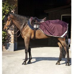 Cobre-rins Horseware Amigo Competition Ripstop Cobre-rins Horseware Amigo Competition Ripstop