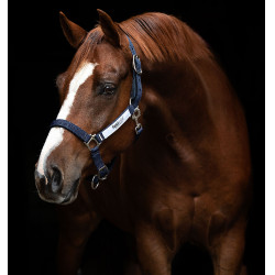 Cabeçada de segurança Horseware Field Safe Cabeçada de segurança Horseware Field Safe