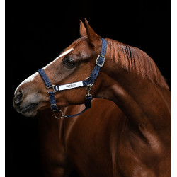 Cabeçada de segurança Horseware Field Safe Cabeçada de segurança Horseware Field Safe