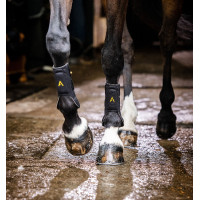 Guêtres Horseware Adagio Preto / amarelo