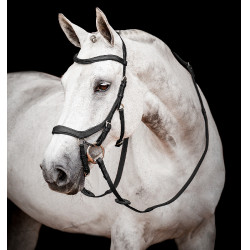 Bridon Horseware Micklem 2 Competição Rambo Bridon Horseware Micklem 2 Competição Rambo