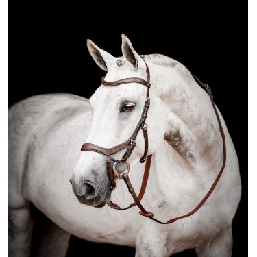 Bridon Horseware Micklem 2 Competição Rambo Bridon Horseware Micklem 2 Competição Rambo
