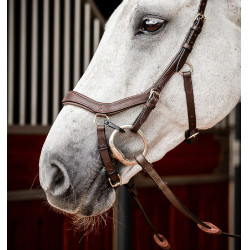 Bridon Horseware Micklem 2 Competição Rambo Havana escuro Castanho Bridon Horseware Micklem 2 Competição Rambo Havana escuro Castanho