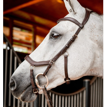 Bridon Horseware Micklem 2 Competição Rambo Bridon Horseware Micklem 2 Competição Rambo