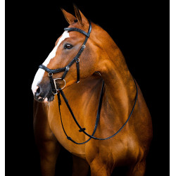Bridão Horseware Micklem 2 Deluxe Competition Preto Bridão Horseware Micklem 2 Deluxe Competition Preto