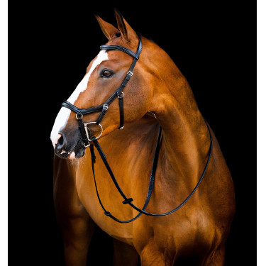 Bridão Horseware Micklem 2 Deluxe Competition rédeas de borracha Bridão Horseware Micklem 2 Deluxe Competition rédeas de borracha