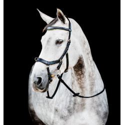 Bridão Horseware Micklem 2 Multi Preto Bridão Horseware Micklem 2 Multi Preto