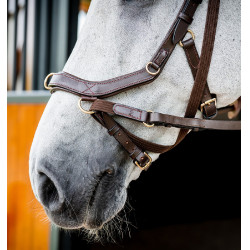 Bridão Horseware Micklem 2 Multi Havana escuro Castanho