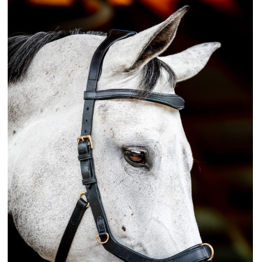 Bridão Horseware Micklem 2 Multi Preto Bridão Horseware Micklem 2 Multi Preto