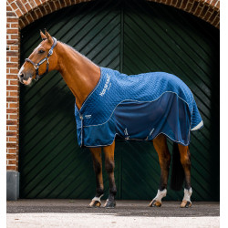 Capa de transporte Horseware Signature Travel Cooler