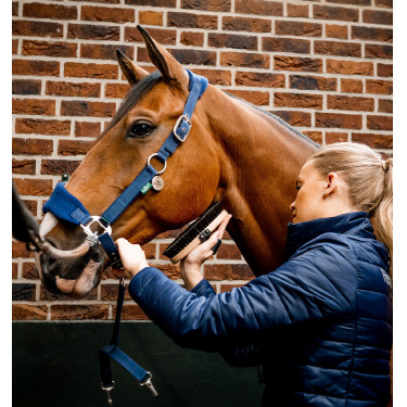 Cabresto Horseware de escovagem Signature Cabresto Horseware de escovagem Signature