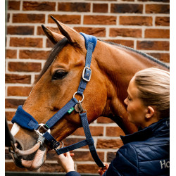 Cabresto Horseware de escovagem Signature Cabresto Horseware de escovagem Signature