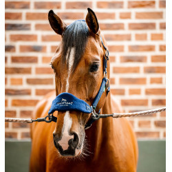 Cabresto Horseware de escovagem Signature Cabresto Horseware de escovagem Signature
