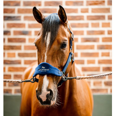 Cabresto Horseware de escovagem Signature Cabresto Horseware de escovagem Signature