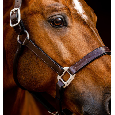 Cabeçada de couro Horseware Signature Preto Cabeçada de couro Horseware Signature Preto