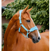 Cabresto Horseware de escovagem Signature Bruma azul