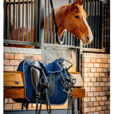 Manta de treino Horseware Signature Manta de treino Horseware Signature