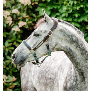 Caveção trançado Horseware Signature Castanho / marinho / nevoeiro azul Multicolor
