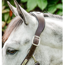 Caveção trançado Horseware Signature Castanho / marinho / nevoeiro azul Multicolor