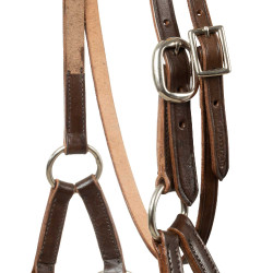 Bridão sem embocadura com cabeçada decorada com contas coloridas Pool's Castanho escuro Bridão sem embocadura com cabeçada decorada com contas coloridas Pool's Castanho escuro