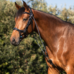 Gogue em couro de bezerro e nylon Acavallo Preto