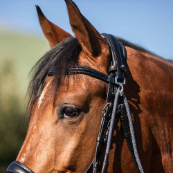 Gogue em couro de bezerro e nylon Acavallo Preto