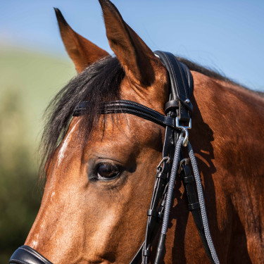 Gogue em couro de bezerro e nylon Acavallo Preto