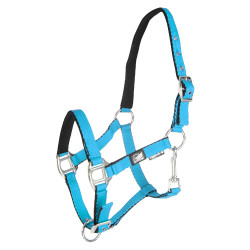 Cabresto para potro em couro acolchoado com toque suave e ajuste duplo Supreme Turquesa Azul