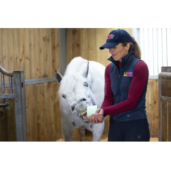 Pierre à lécher Likit Pierre à lécher Likit