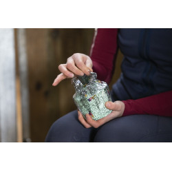 Pierre à lécher Likit Pierre à lécher Likit