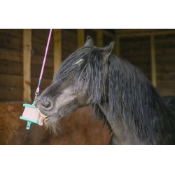 Pierre à lécher Likit Pierre à lécher Likit