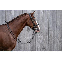 Bridão HKM Kate Preto Bridão HKM Kate Preto