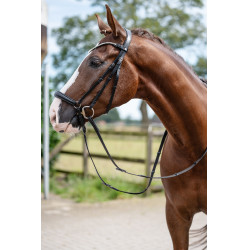 Bridão HKM Nicole Preto Bridão HKM Nicole Preto