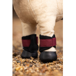 Guêtres Mini Poney Lemieux Brasa Bordô Guêtres Mini Poney Lemieux Brasa Bordô