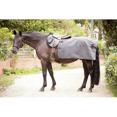 Cobre-rins Quarter Paddock Sports Wooltouch Cobre-rins Quarter Paddock Sports Wooltouch