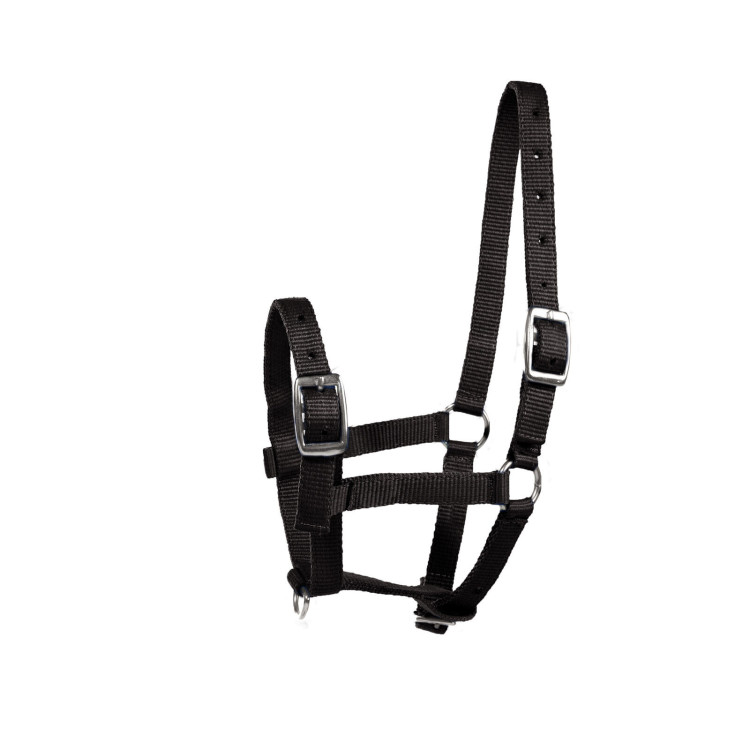 Cabresto para Potro Horze Spirit Cabresto para Potro Horze Spirit