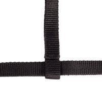 Cabresto para Potro Horze Spirit Azul claro