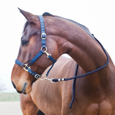 Longe Horze Supreme, mosquetão Azul