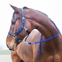 Longe Horze Supreme, mosquetão Azul royal Longe Horze Supreme, mosquetão Azul royal
