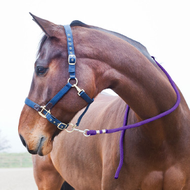 Longe Horze Supreme, mosquetão Violeta